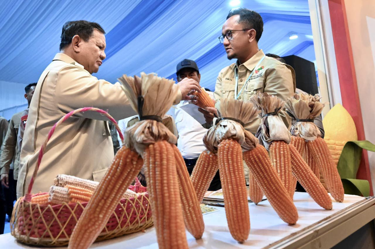 Panen Raya Jagung Bersama Presiden Prabowo, Petani Optimistis Swasembada Pangan Tercapai