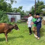 Momentum Iduladha, Kapolresta Bengkulu Berbagi Hewan Kurban untuk Warga